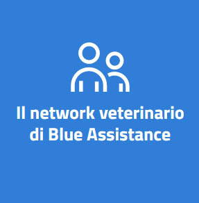 network veterinari